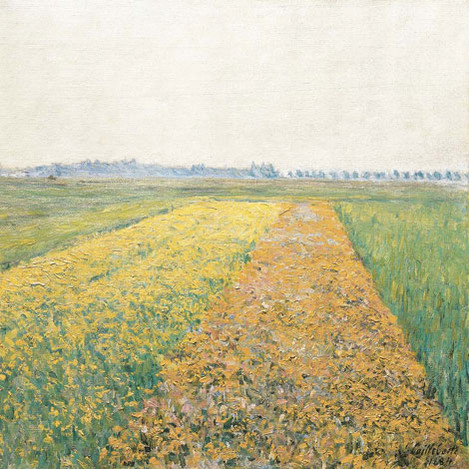 Gustave Caillebotte (Paris 1848 – 1894 Petit-Gennevilliers): Yellow Fields at the Plain of Gennevilliers, 1884. Oil on canvas, 54 x 64.7 cm. Fondation Corboud, WRM Dep. FC 561. Photo: Rheinisches Bildarchiv Köln