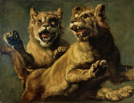 Frans Snijders, Zwei springende junge Löwen, 1651/1700, Öl auf Leinwand, Wallraf-Richartz-Museum & Fondation Corboud, Köln, Foto: RBA
