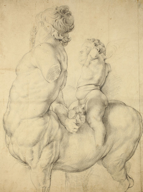 Peter Paul Rubens, Von Cupido gezähmter Kentaur, Seitenansicht, Kreide, Graphische Sammlung, Wallraf-Richartz-Museum