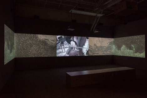 Installationsansicht von „Hearsay of the Soul“, Foto von Johanna Arnold, Courtesy CCA Wattis Institute for Contemporary Arts