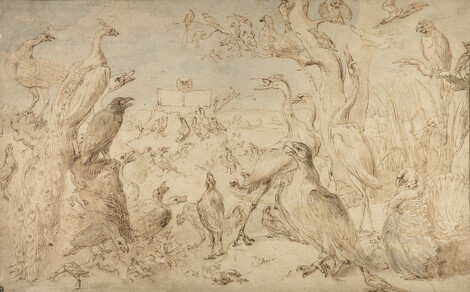 Frans Snijders, Concert of Birds, c. 1630/50, Pen and brown ink over graphite, with brown, grey and blue washes, on laid paper. Wallraf-Richartz-Museum & Fondation Corboud, Köln, Graphische Sammlung, Permanent loan from a private collection, © Photo: Thomas Klinke, Wallraf-Richartz-Museum